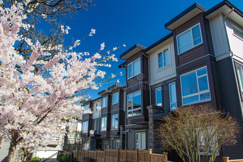 Modern low rise wood frame complex. On sunny day in spring with blooming sakura trees. Modern low rise wood frame complex. On sunny day in spring with blooming sakura trees..